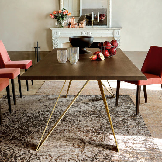 Celtis Metal Net with Wooden Details Dining Table