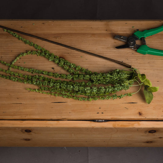 Green Amaranthus Artificial Stem