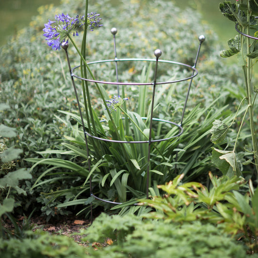 Barrington Flared Plant Support Large Raw Metal by Garden Trading