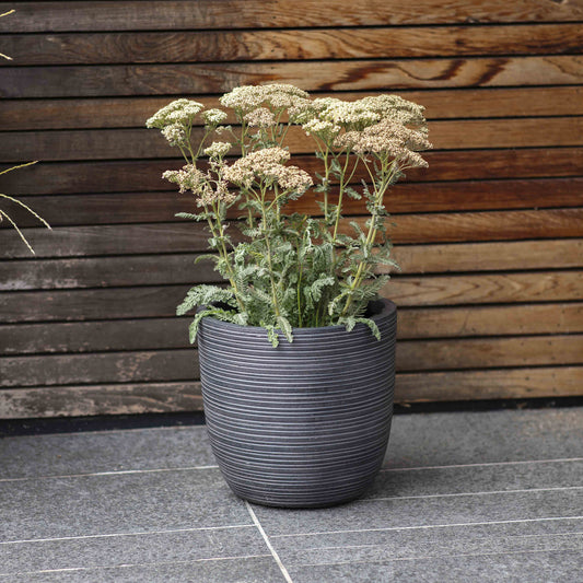 Set of 4 Rodborough Planters Fibre Clay by Garden Trading