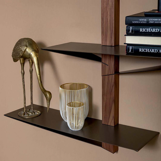 Albatros Wall Mounted Bookcase by Tonin Casa