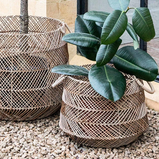 Set of 2 Hinton Woven Basket
