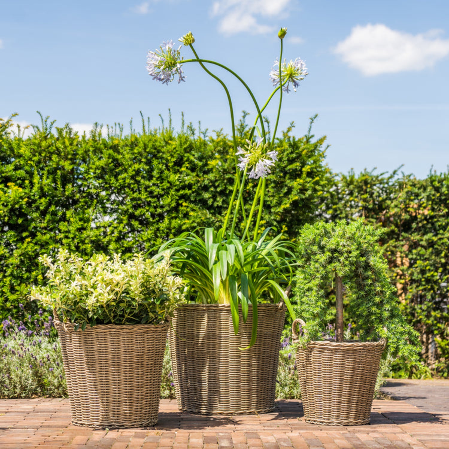 Polyrattan Hand Finished Lined Planter