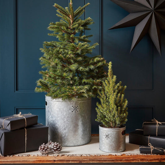 Indoor Christmas Tree Galvanised Steel Star Bucket