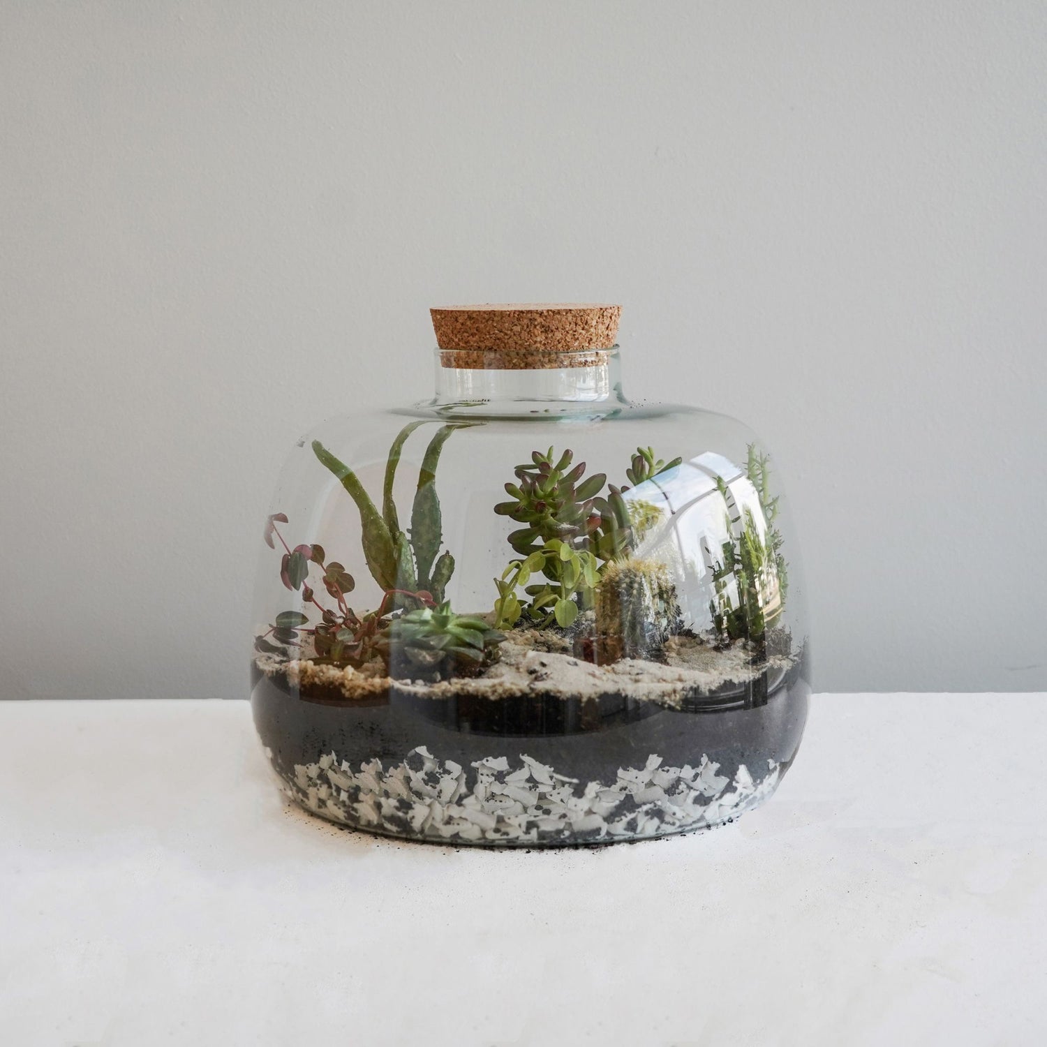 Bowl Shape Terrarium DIY Kit