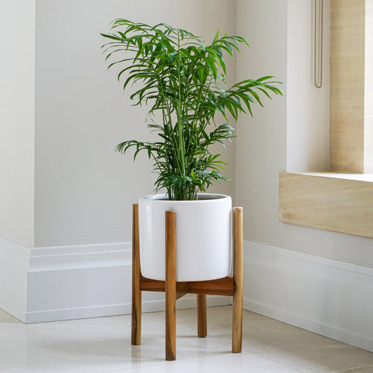 Anzio Planter with Wooden Stand