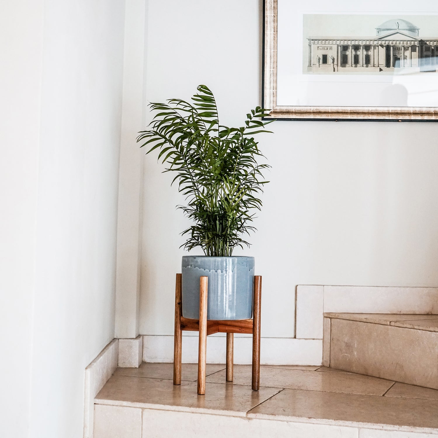 Anzio Planter with Wooden Stand