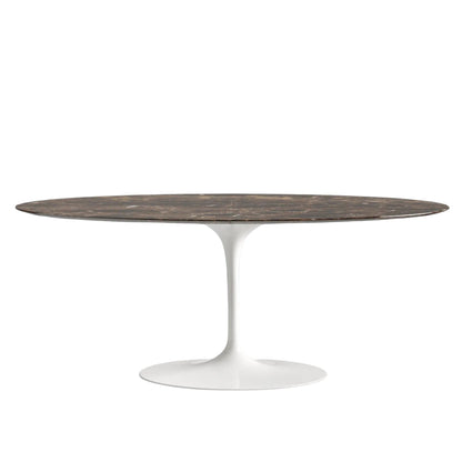 Oval dining table with a marble emperador top and white base on a white background
