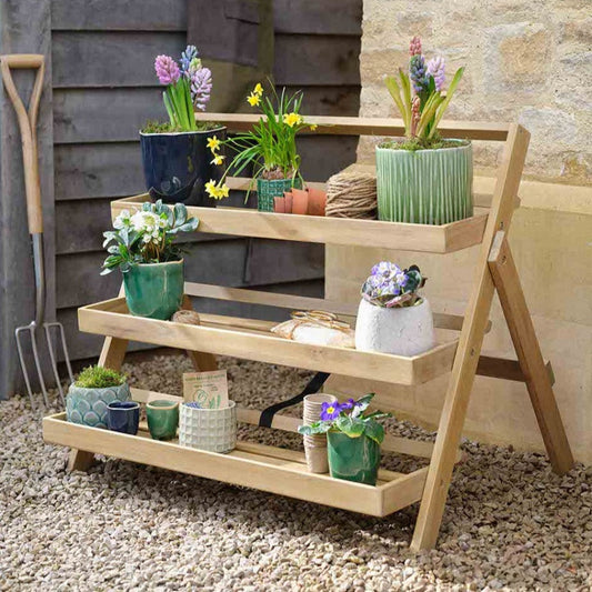 Large Natural Titchberry Folding Plant Stand