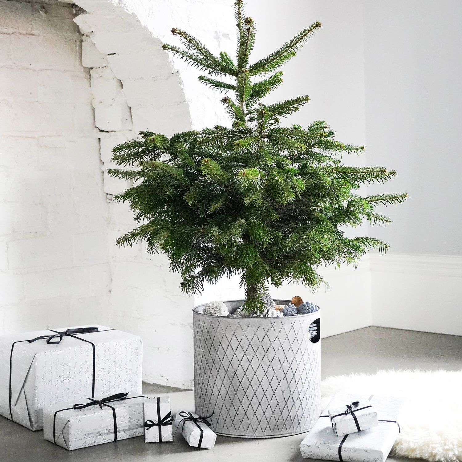 Indoor Christmas Tree Zinc Bucket
