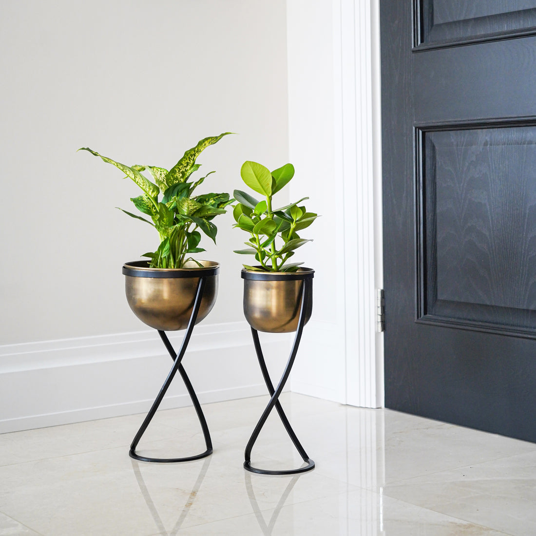 Indoor Kensington Brass Round Planter with Stand