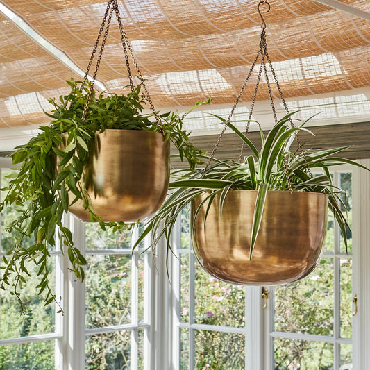 Indoor Mayfair Hanging Planter