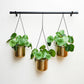 Gold and Black Linear Hanging Planters