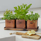 Set of 3 Outdoor Hampton Copper Herb Planters with Tray