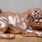 Bronze Finish Pug Artisan Figurine