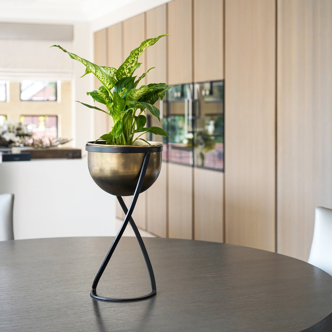 Indoor Kensington Brass Round Planter with Stand