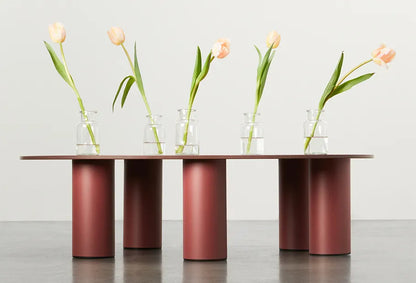 S•CAB Hyppo Outdoor Coffee Table L 104 cm in a terracotta finish styled with glass vases and tulips in a contemporary interior setting.