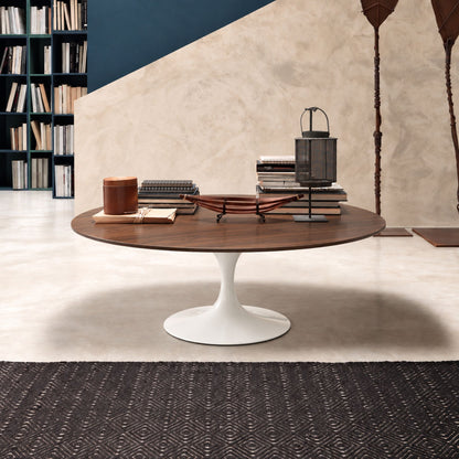 American walnut veneer Tulip coffee table with a rich dark wood round tabletop and glossy white pedestal base, styled in a contemporary living room with books, decorative accessories, and modern furnishings. Luxury Italian designer coffee table for modern, Scandinavian, mid-century, and minimalist interiors.