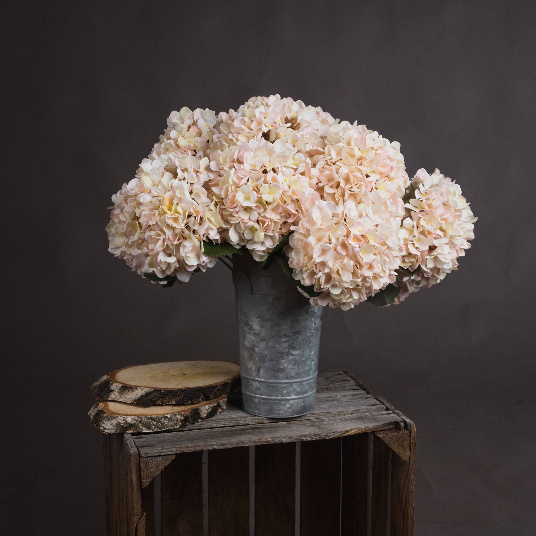 Autumn White Hydrangea