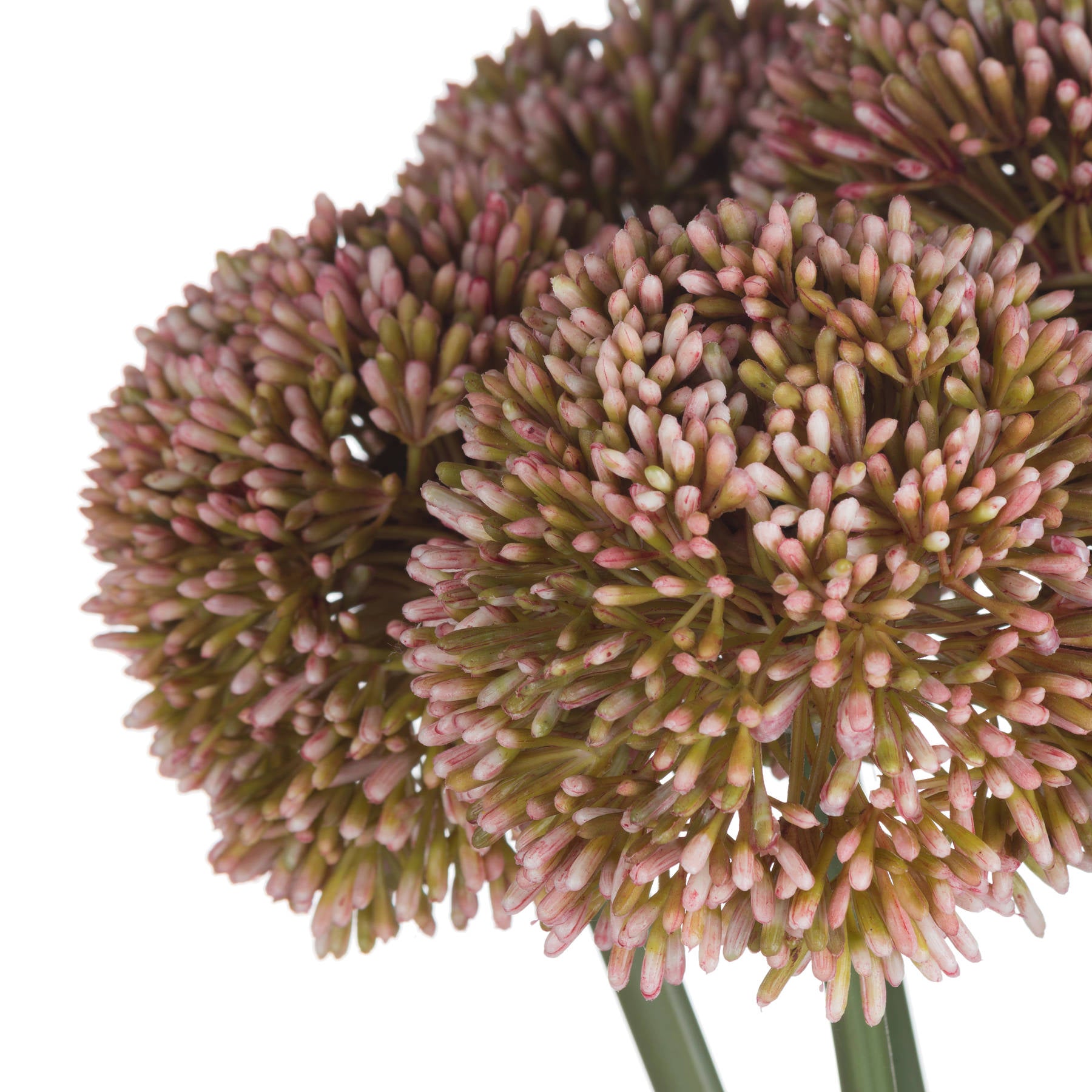 Pink Allium Artificial Flowers