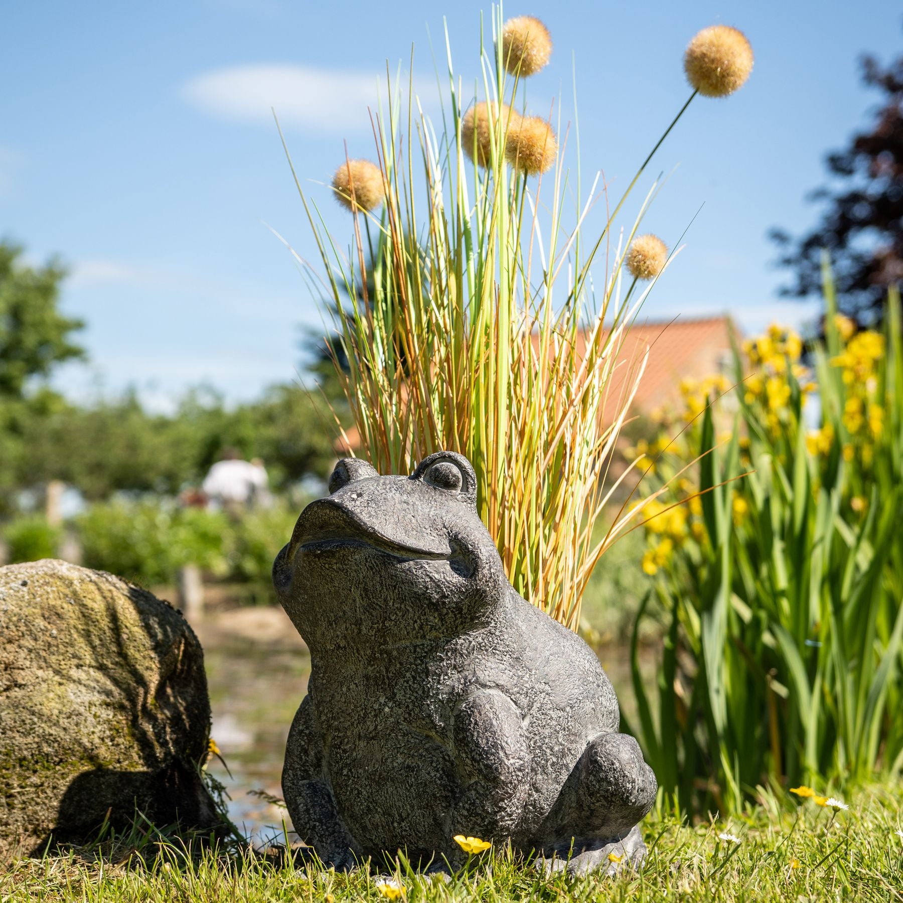 Freddie The Frog Plant Pot Holder