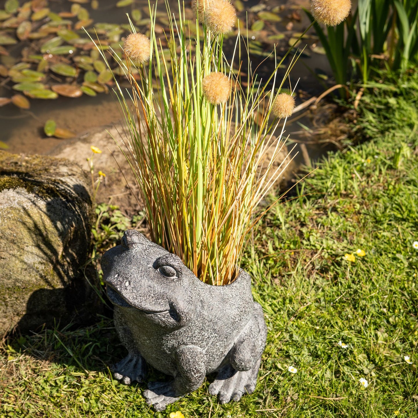 Freddie The Frog Plant Pot Holder