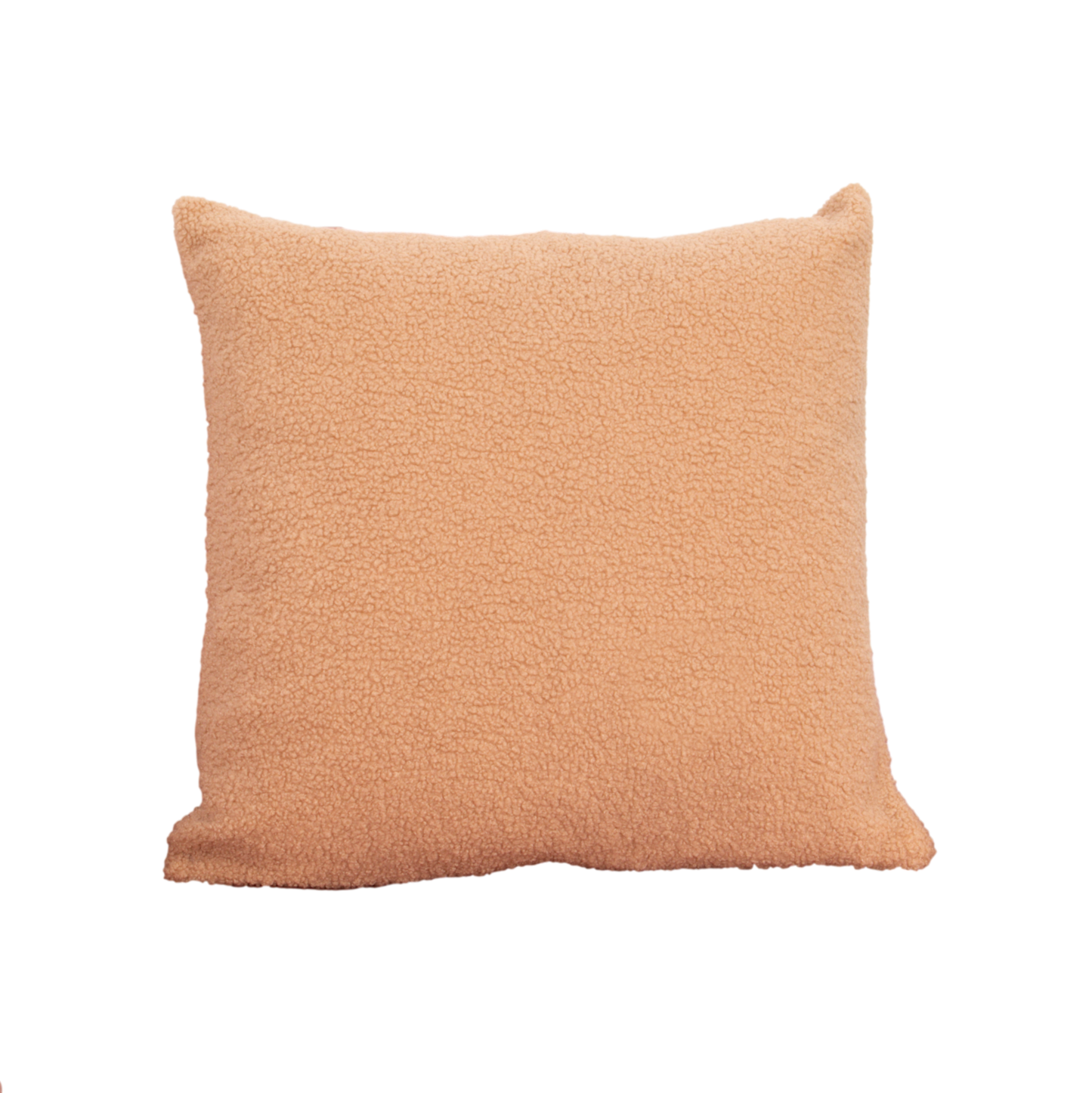 Light Brown Teddy Feather Filled Cushion
