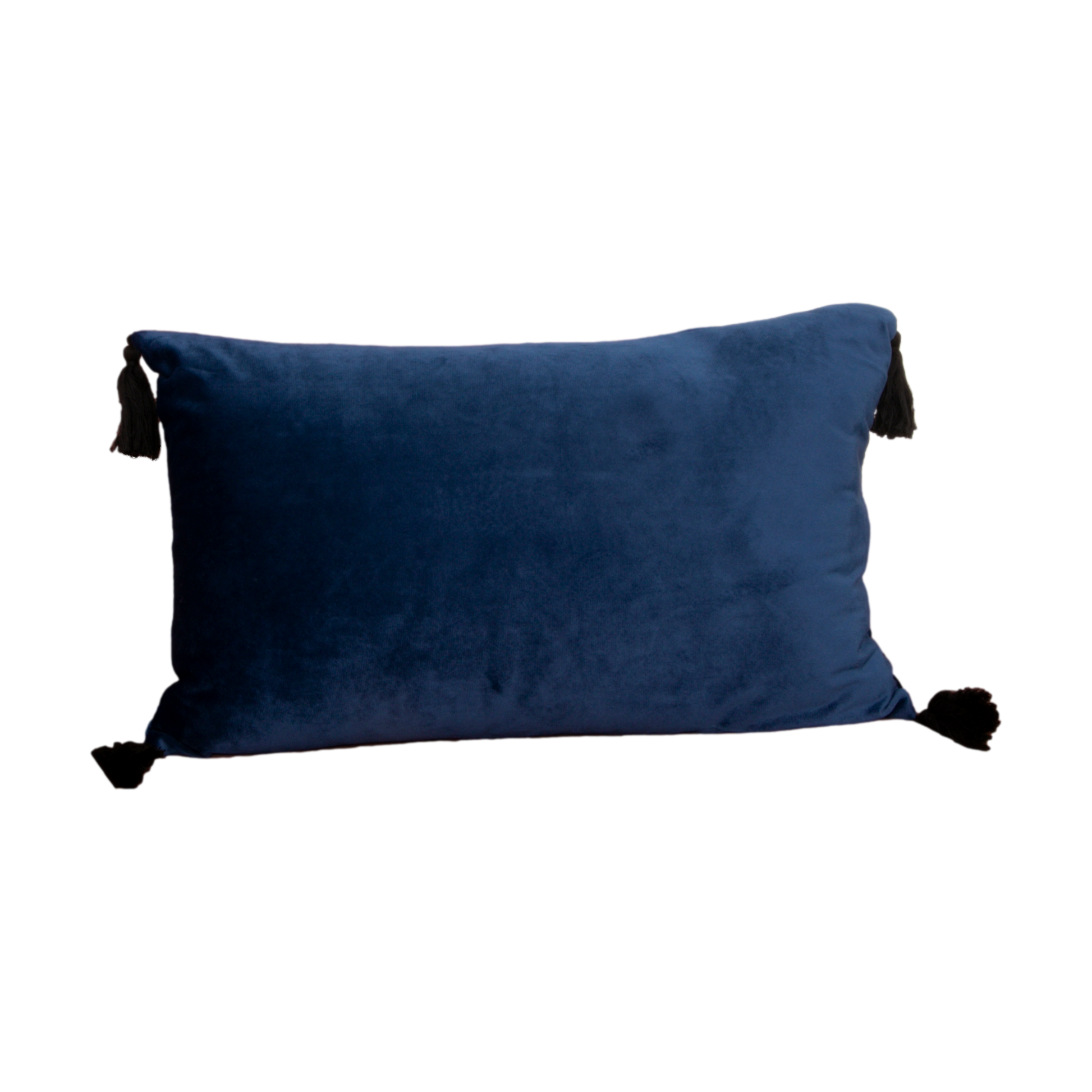 Blue Velvet Black Tassel Boudoir Cushion Cover