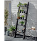 Moreton Ladder Spruce by Garden Trading