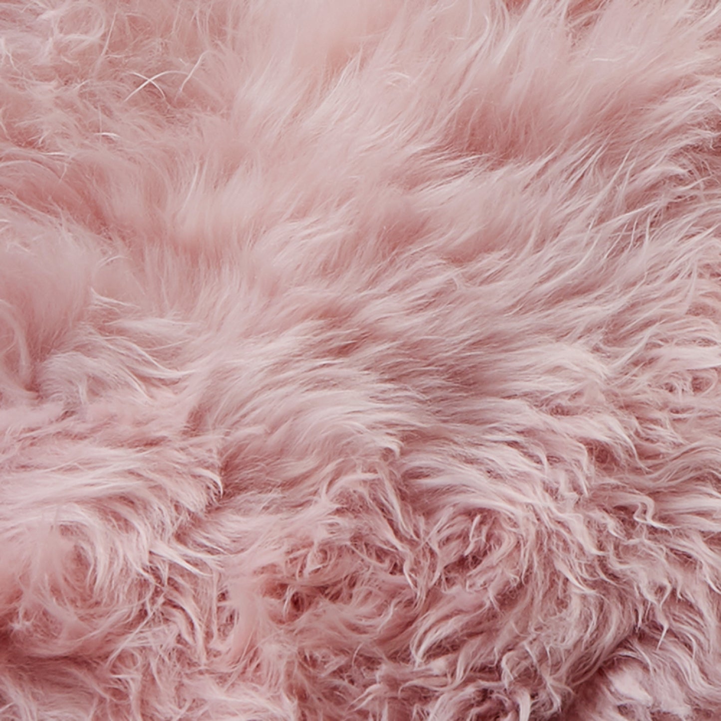 Sheepskin blush pink rug xxl by Native