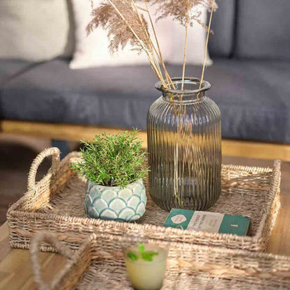 Set of 2 Natural Bayford Woven Tray